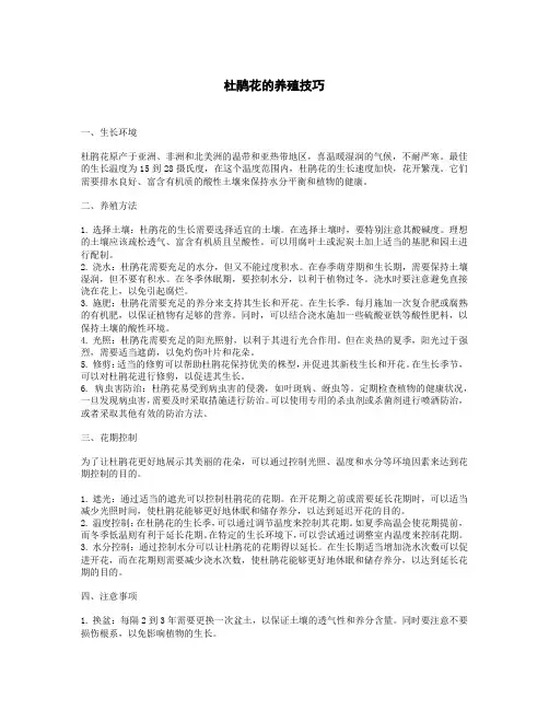 杜鹃花的养殖技巧