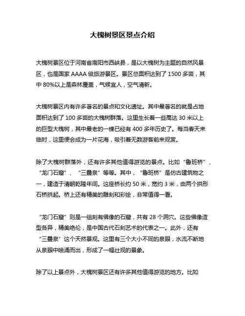 大槐树景区景点介绍