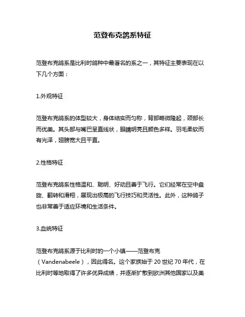 范登布克鸽系特征