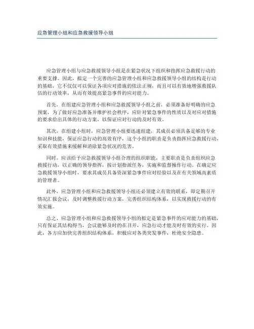 应急管理小组和应急救援领导小组