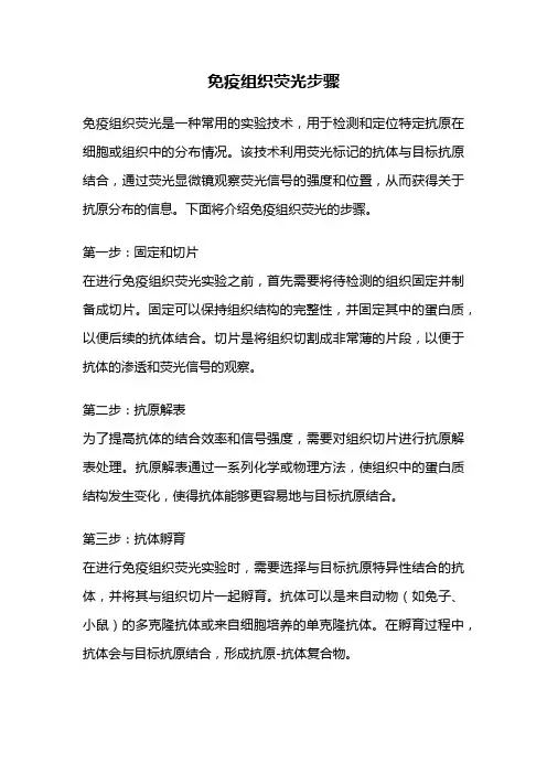 免疫组织荧光步骤