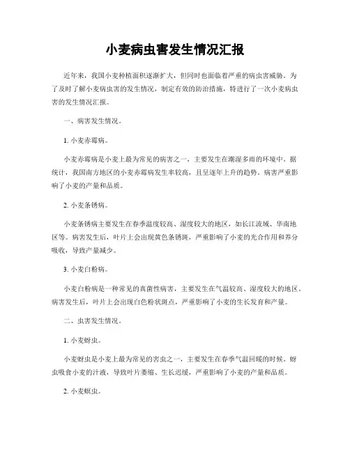 小麦病虫害发生情况汇报