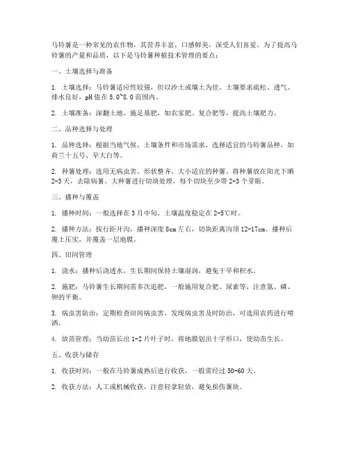种植马铃薯技术管理