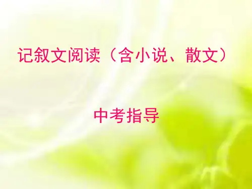 记叙文复习PPT