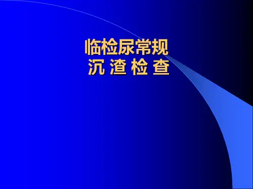 临检尿常规沉渣检查