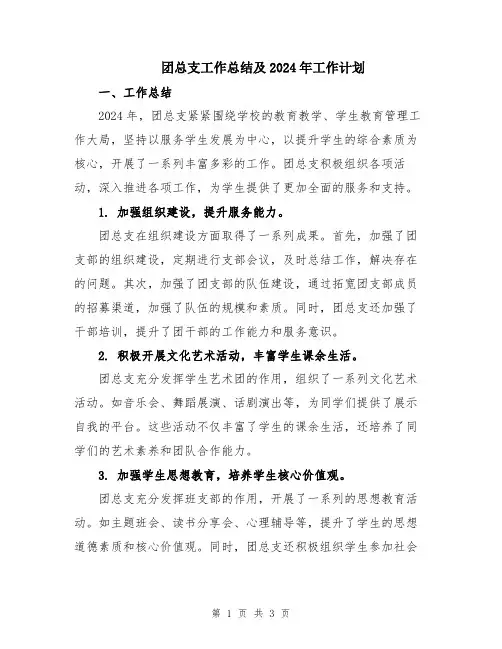 团总支工作总结及2024年工作计划 