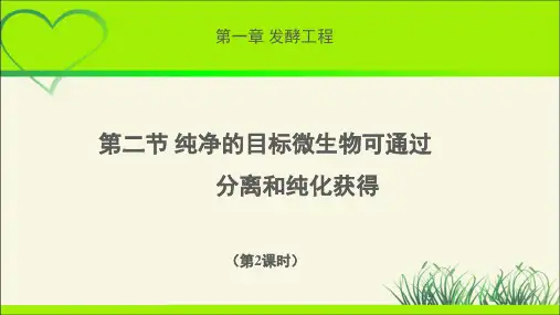 《纯净的目标微生物可通过分离和纯化获得》第2课时示范公开课教学课件【高中生物浙科版(新课标)】