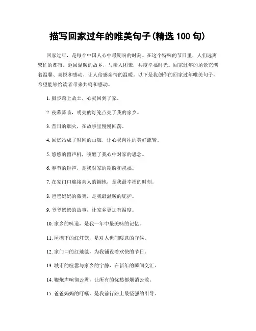 描写回家过年的唯美句子(精选100句)