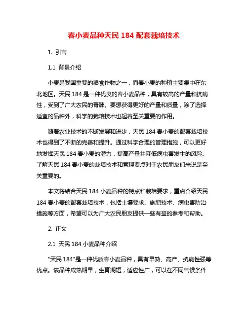 春小麦品种天民184配套栽培技术