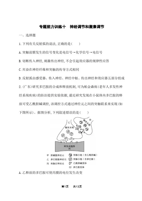 高考生物学二轮总复习课后习题 专题能力训练10 神经调节和激素调节