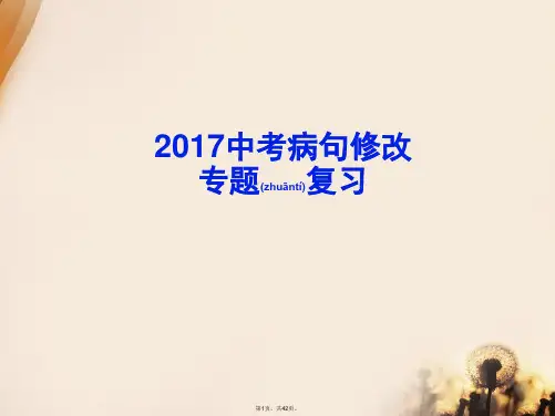 2017中考语文病句修改(共42张)