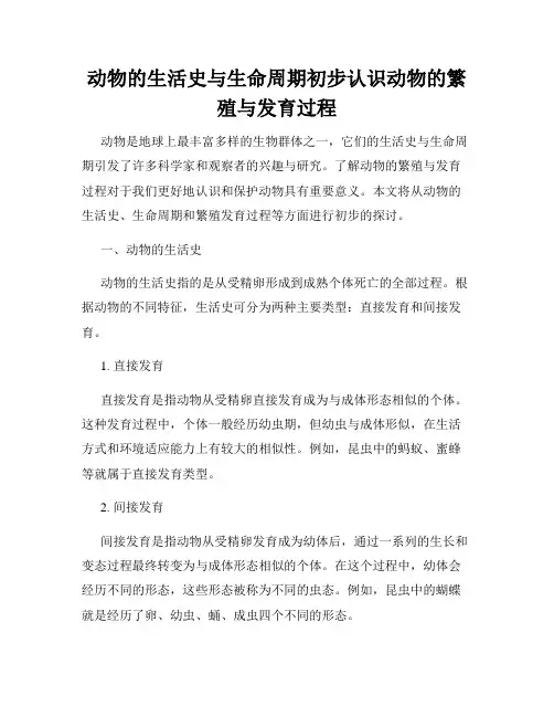 动物的生活史与生命周期初步认识动物的繁殖与发育过程