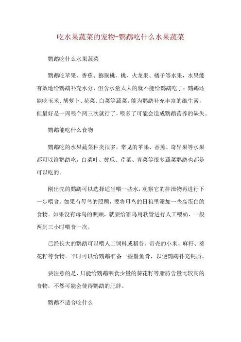 吃水果蔬菜的宠物-鹦鹉吃什么水果蔬菜