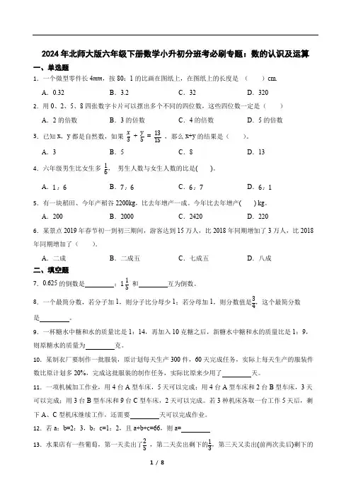 2024年北师大版六年级下册数学小升初分班考必刷专题：数的认识及运算