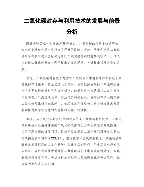 二氧化碳封存与利用技术的发展与前景分析