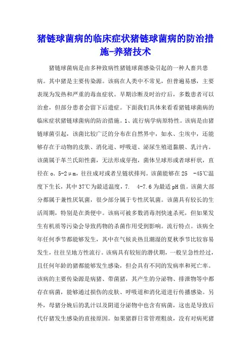 猪链球菌病的临床症状 猪链球菌病的防治措施 - 养猪技术