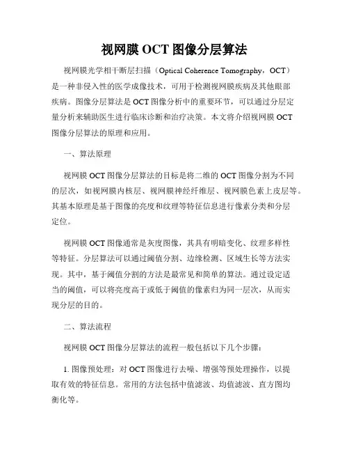 视网膜OCT图像分层算法