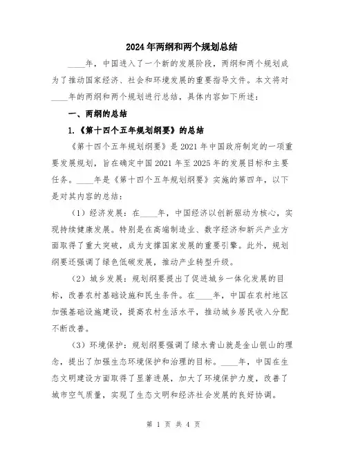 2024年两纲和两个规划总结