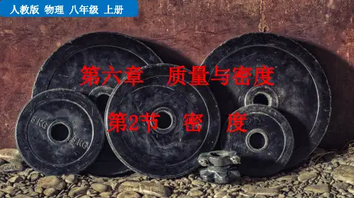 《密度》PPT精品课件