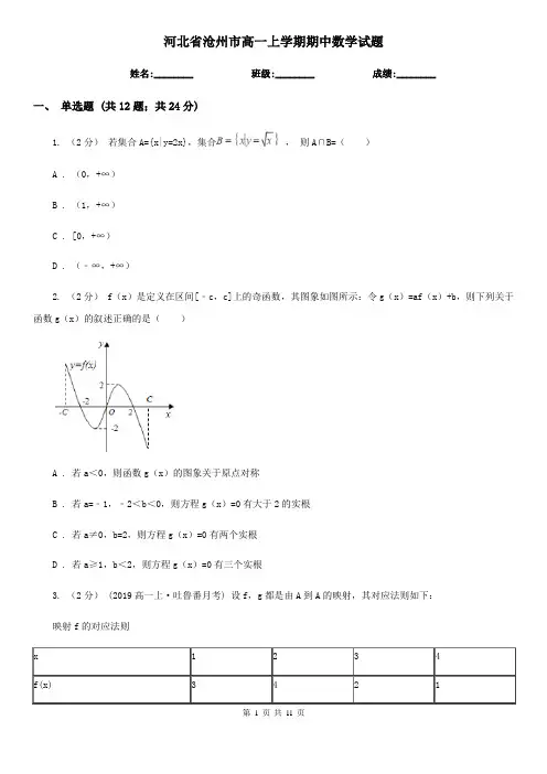 河北省沧州市高一上学期期中数学试题