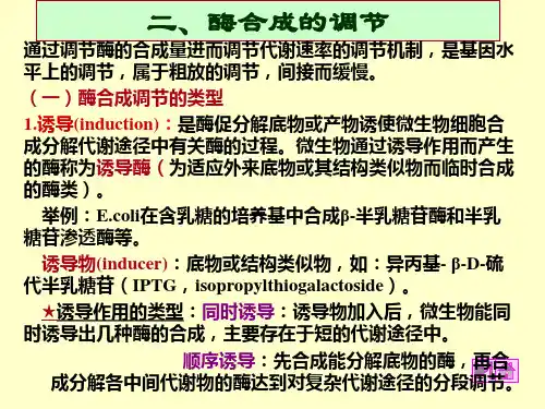 酶合成的调节