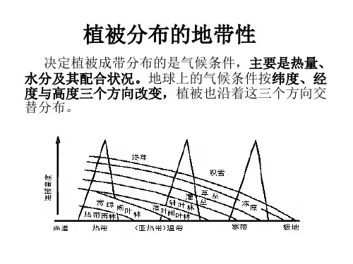 植被分布的地带性