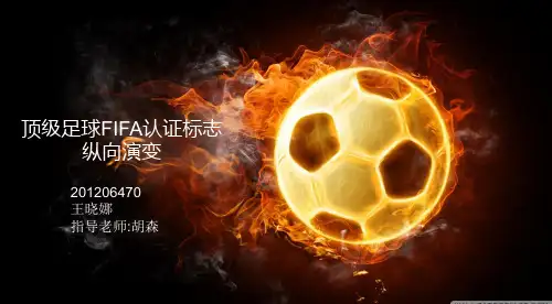 顶级足球FIFA认证标志纵向演变