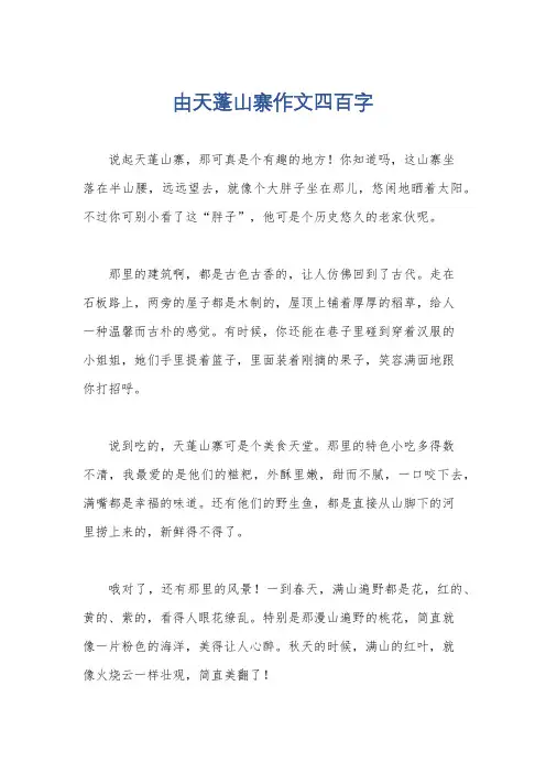 由天蓬山寨作文四百字