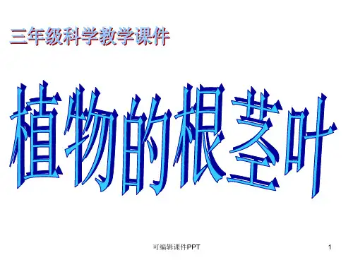 小学三年级科学完整植物的根茎叶ppt课件