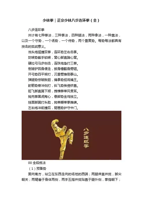 少林拳｜正宗少林八步连环拳（全）