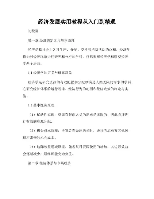 经济发展实用教程从入门到精通
