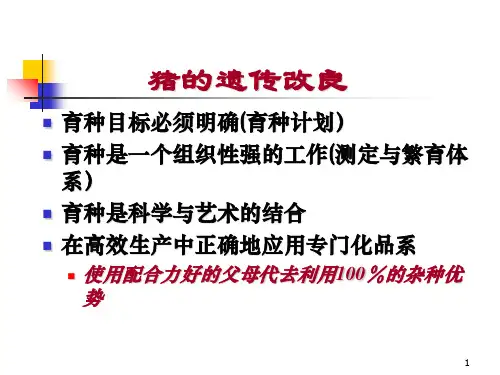 猪配套系选育及地方猪种资源的开发利用