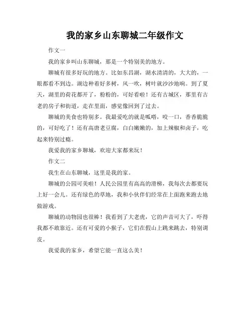 我的家乡山东聊城二年级作文