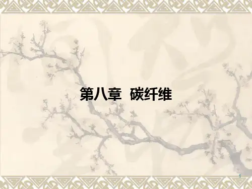PAN碳纤维技术参考资料ppt课件