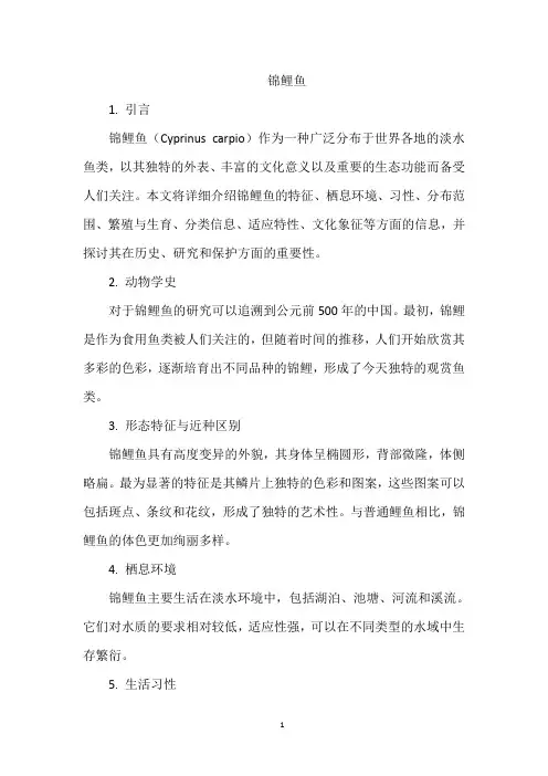 锦鲤鱼介绍