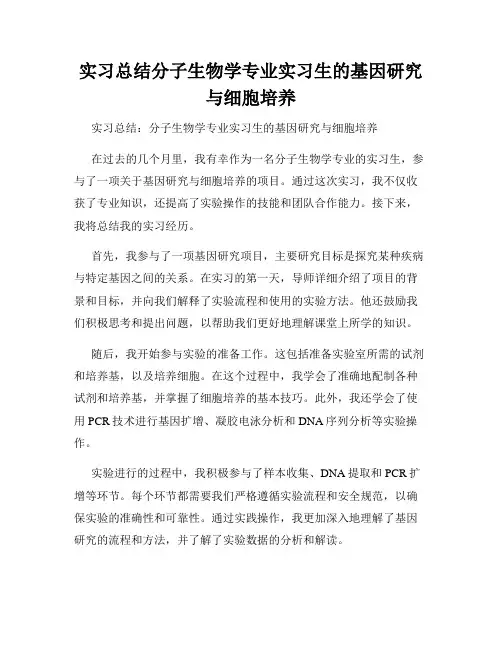 实习总结分子生物学专业实习生的基因研究与细胞培养