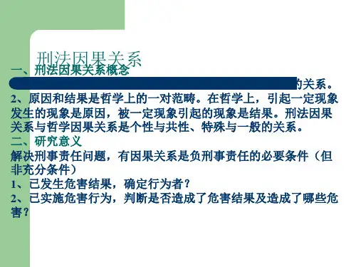 刑法因果关系