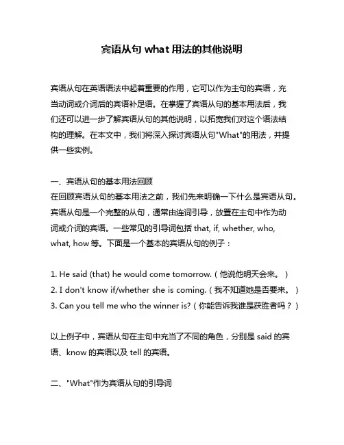 宾语从句what用法的其他说明