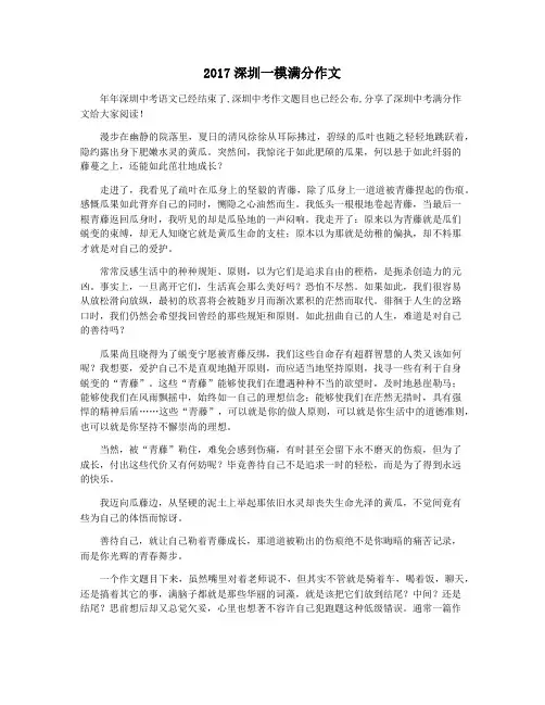 2017深圳一模满分作文