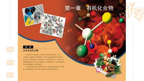 人教版高二化学选修5第一章第一节 有机化合物的分类
