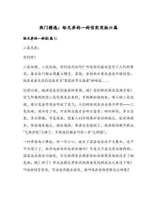 给兄弟的一封信实用版六篇