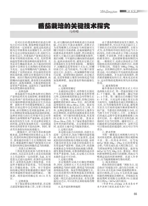 番茄栽培的关键技术探究