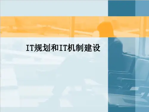 IT规划和IT机制建设ppt课件