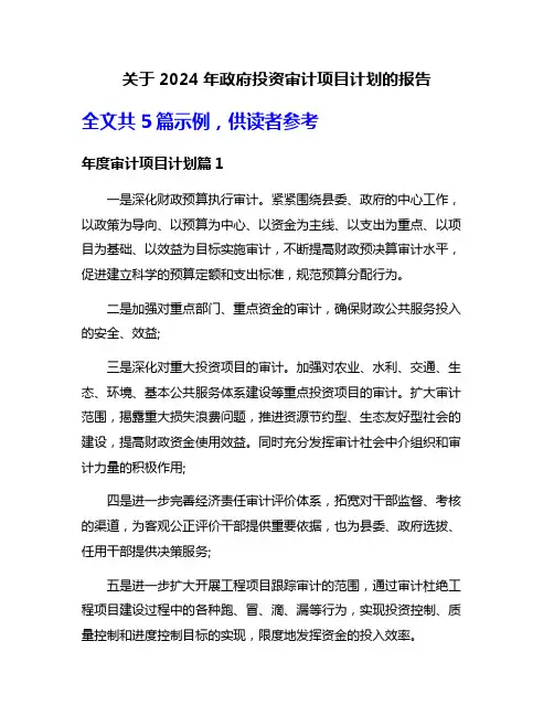关于2024年政府投资审计项目计划的报告