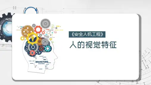安全人机工程学课件：人的视觉特征