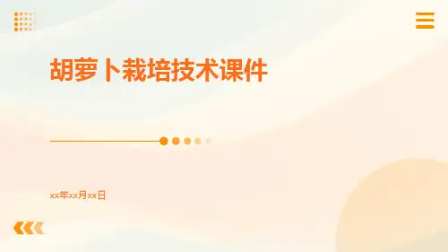 胡萝卜栽培技术课件