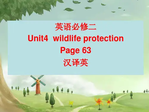 高中英语必修二unit4wildlifeprotection课后练习汉译英