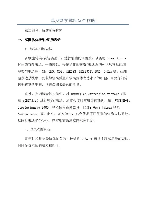 单克隆抗体制备全攻略
