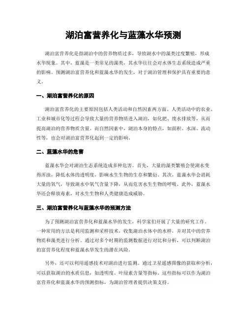 湖泊富营养化与蓝藻水华预测