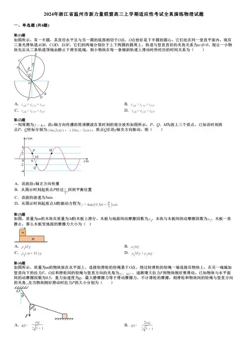 2024年浙江省温州市新力量联盟高三上学期适应性考试全真演练物理试题